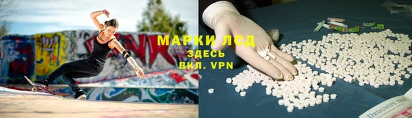 прущие грибы Балабаново