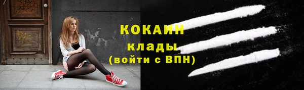 прущие грибы Балабаново