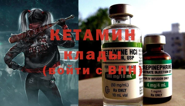 прущие грибы Балабаново
