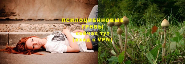 спайс Баксан