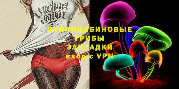 спайс Баксан