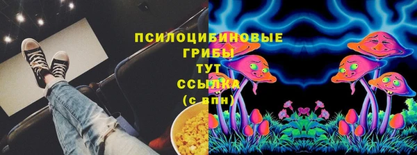 прущие грибы Балабаново