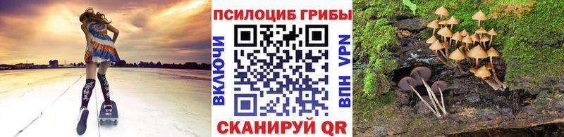 Псилоцибиновые грибы Cubensis  Купить закладки  Переславль-Залесский 